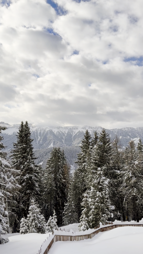 Forestis Luxury Ski Resort in Dolomites, Italy 